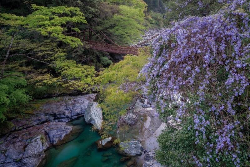 四国旅行のhub拠点 古民家ゲストハウス Heso Camp Miyoshi  Buitenkant foto